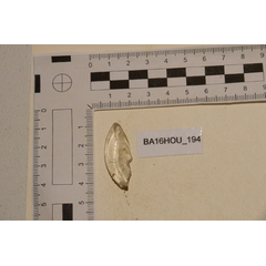 file_image