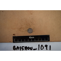file_image